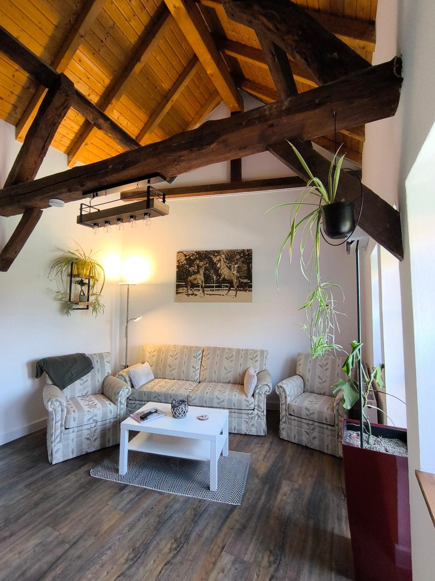 Fewo Antweiler Oberburg Mechernich Exterior foto